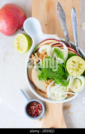 Veganer Salat mit Fenchel, Arugula und Äpfeln Stockfoto