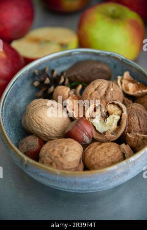 Walnüsse und Haselnüsse in einer Keramikschale Stockfoto