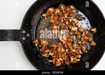 Wilde gemischte Pilze, die in einem Topf mit Butter und Kräutern braten Stockfoto