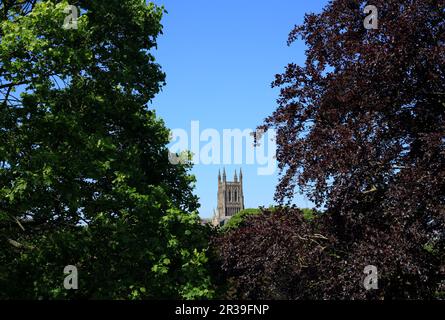 Blick auf die Kathedrale von Worcester vom Fort Royal Park, Worcester, großbritannien. Stockfoto