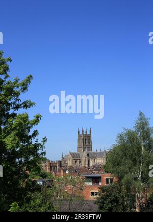 Blick auf die Kathedrale von Worcester vom Fort Royal Park, Worcester, großbritannien. Stockfoto