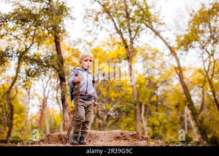 Schöner Kinderjunge, der im Herbstpark die Natur genießt Stockfoto