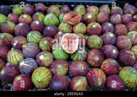 Frische Feigen (Modena, Italien) Stockfoto