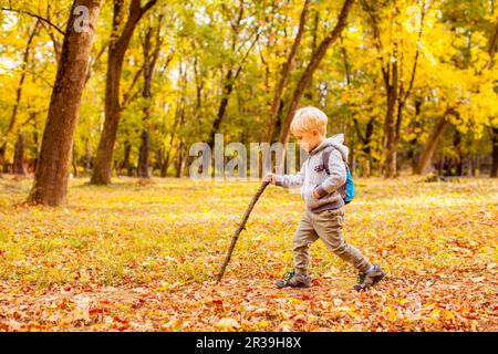 Verspielte Wanderung für Jungen mit Stock und Rucksack in einem Park. Stockfoto