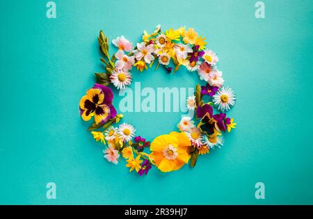 Frühlingsblumen Rahmen flach mit Details auf türkisfarbenem Hintergrund Stockfoto