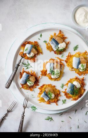 Kartoffellatkes mit eingelegtem Hering, Apfelsauce, Sauerrahm und Dill Stockfoto