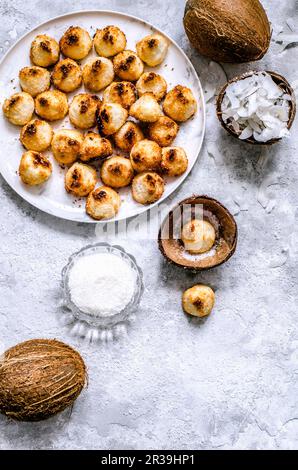 Kokosnusskekse in Kokosnussschale, Kokosnüsse und Kokosnusschips Stockfoto