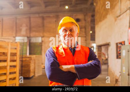 Selbstbewusster, professioneller Arbeiter in Robe und Helm Stockfoto