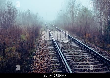 Eisenbahngleise verschwinden im Nebel Stockfoto