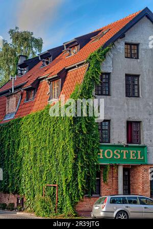 Ivy überwucherte Wand der Herberge Stockfoto