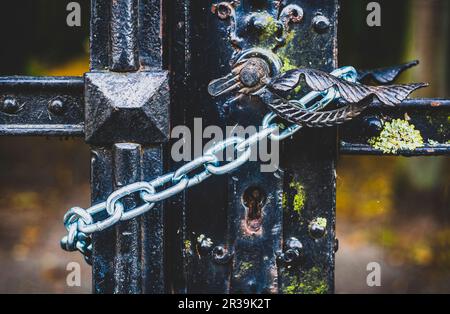 Altes Tor mit Kette verriegelt Stockfoto