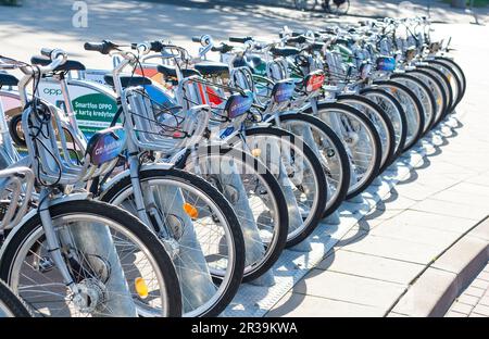 Stadtfahrräder stehen hintereinander Stockfoto