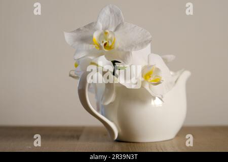 Wunderschöne weiße Freesien in Vase auf dem Tisch Stockfoto