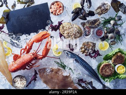 Fische, Krebstiere, Muscheln, Seetang und Samphirgras Stockfoto