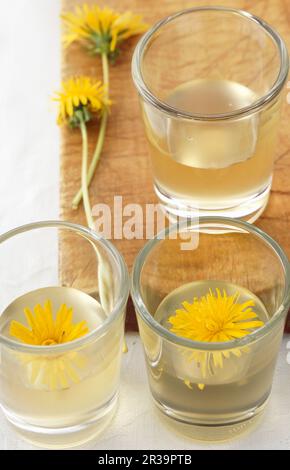 Hausgemachter Dandelion-Schnaps mit frischen Blumen Stockfoto