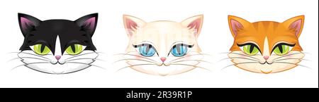 Süße Köpfe verschiedener Katzen, isoliert auf Weiß. Stock Vektor