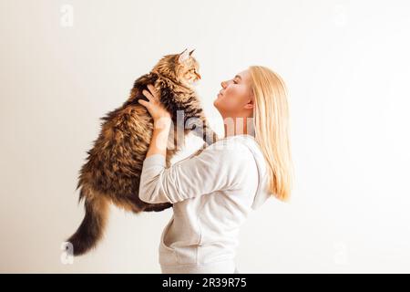 Junge Frau hält neue adoptierte sibirische Katze Stockfoto