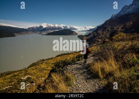 glaciar Grey, valle del lago Grey, Trekking W, Parque nacional Torres del Paine, Sistema Nacional de Áreas Silvestres Protegidas del Estado de Chile. Patagonia, República de Chile, América del Sur. Stockfoto