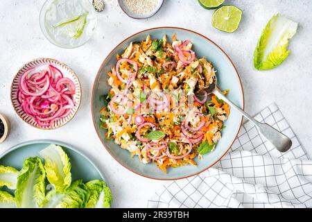 Satay Chicken Salat Stockfoto