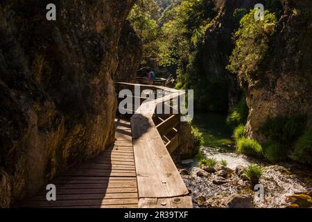 Cerrada de Elias, Ruta Del Rio Borosa, Parque natural Sierra de Cazorla, Segura y Las Villas, Jaen, Andalusien, Spanien. Stockfoto