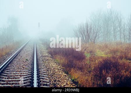 Eisenbahngleise verschwinden im Nebel Stockfoto