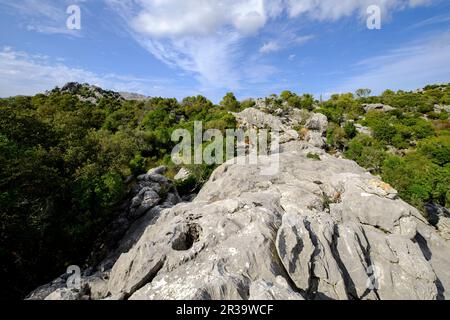 Lapiaz de Lluc, escorca, Mallorca, Balearen, Spanien, Europa. Stockfoto