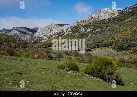 Tosande Tal. Naturpark Fuentes Carrionas, Berg Fuente Cobre - Palentina. Palencia, Spanien. Stockfoto