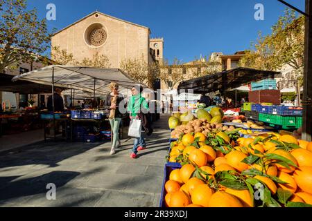 Plaza del Mercado, Pollensa, Mallorca, Balearen, Spanien. Stockfoto