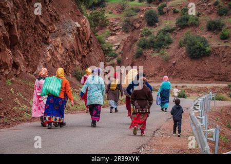 Gruppe von Berberfrauen, die auf einer asphaltierten Straße arbeiten, Ait Blal, Provinz azilal, Atlasgebirge, marokko, afrika. Stockfoto