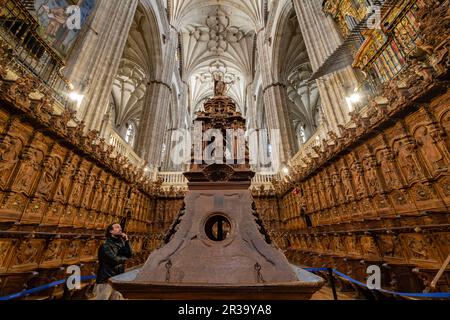 Coro, Catedral de la Asunción de la Virgen, Salamanca, Comunidad Autónoma de Castilla y León, Spanien. Stockfoto