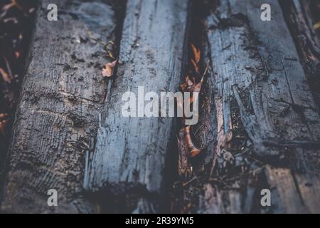 Alte Bahnschwellen aus Holz Stockfoto