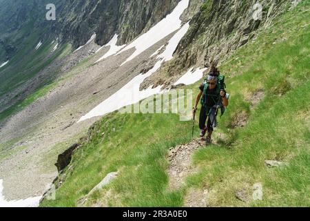 Senda al Puerto de La Pez, Valle de Gistau, Parque Natural Posets-Maladeta, Huesca, Cordillera de Los Pirineos, Spanien. Stockfoto