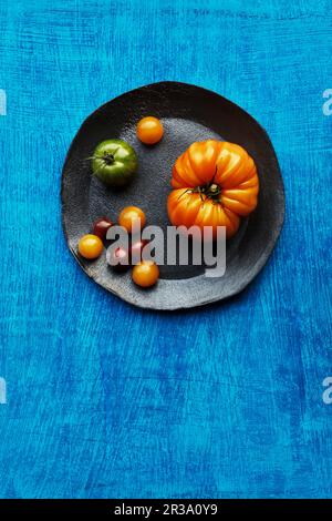 Verschiedene Tomatensorten auf einem Teller vor blauem Hintergrund Stockfoto