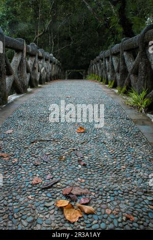 Trockenes Laub, das im Herbst auf die Brücke fällt Stockfoto