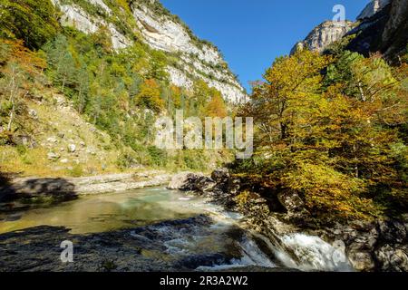 La Ripareta, Cañon de Añisclo, Parque Nacional de Ordesa y Monte Perdido, Comarca del Sobrarbe, Huesca, Aragón, Cordillera de Los Pirineos, Spanien. Stockfoto