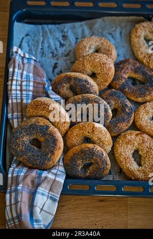 Bagels Stockfoto