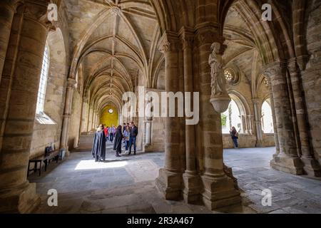 Claustro, construido Entre 1317 y 1340, estilo Gótico, Catedral de Évora, Sé Catedral Basílica de Nossa Senhora da Assunção, Évora, Alentejo, Portugal. Stockfoto