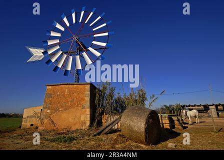 Molino de Agua para Extraccion (s. XIX-XX). Cami de Sa pedra rodona.Campos.Comarca de Migjorn. Mallorca. Balearen. España. Stockfoto