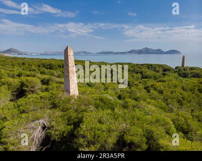 Führende Punkte, Es Comú, Àrea Natural d'Especial Interès, innerhalb des Naturparks von s'Albufera, Muro, bahía de Alcúdia, Mallorca, Balearen, Spanien. Stockfoto