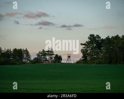 Hoher Sitz am Waldrand Stockfoto