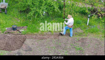 Ein erwachsener Mann gräbt sein Land für die Kartoffelaussaat aus Stockfoto