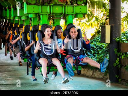 Junge Leute, die auf einer Achterbahn in einem Freizeitpark fahren Stockfoto