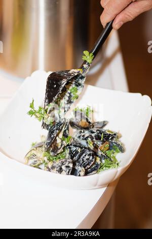 Gedämpfte Muscheln in Schalen in der Schüssel mit Weißwein auf dem Tisch. Der Chef kocht Muscheln in Käse Stockfoto