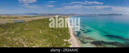 Es Comú, Àrea Natural d'Especial Interès, im Naturpark von s'Albufera, Muro, bahía de Alcúdia, Mallorca, Balearen, Spanien. Stockfoto