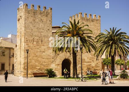 Puerta de Xara, - Puerta del Moll-, plaza Carles V, muralla Mittelalterliche, siglo XIV, Alcudia, Mallorca, Balearen, Spanien. Stockfoto