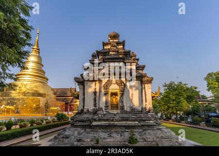 Die buddhistische Tempelanlage Wat Phra Singh, Chiang Mai, Thailand, Asien | der buddhistische Tempelkomplex Wat Phra Singh, Chiang Mai, Thailand, Asi Stockfoto