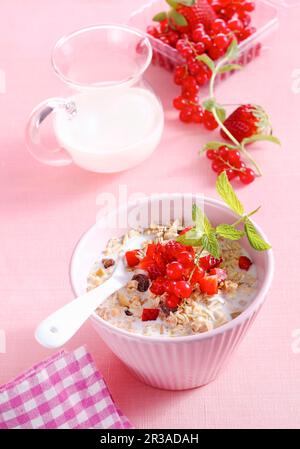 Bircher Müsli mit Hafer, roten Beeren und Milch Stockfoto