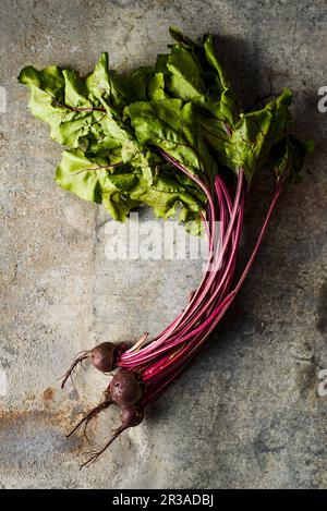 Junge Rüben Stockfoto