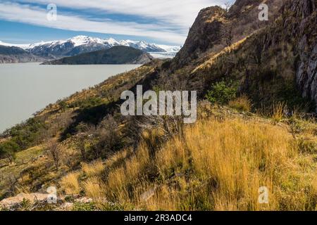 Valle del Lago Grey, trekking W, Parque Nacional Torres del Paine, Sistema Nacional de Áreas Protegidas Silvestres del Estado de Chile Patagonien, República de Chile, América del Sur. Stockfoto