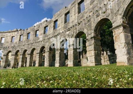 anfiteatro de Pula, Pula, Peninsula de Istria, Croacia, europa. Stockfoto